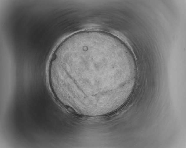 X0000102521488200809051432