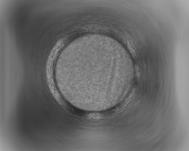 X0000102521489200809051432