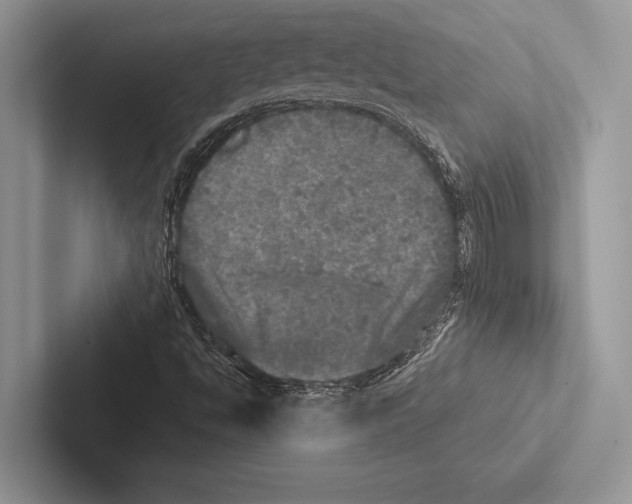 X0000102521494200809051432