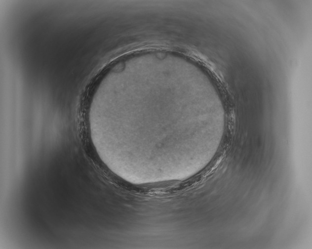 X0000102521496200809051432