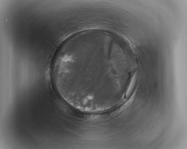 X0000102521497200809051432