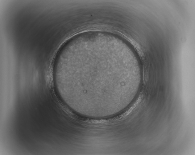 X0000102521498200809051432