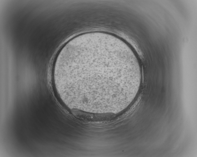 X0000102521500200809051432