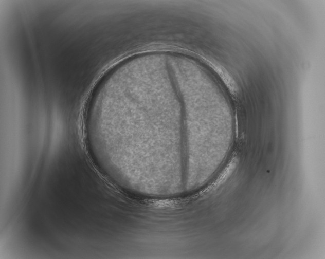 X0000102521501200809051432