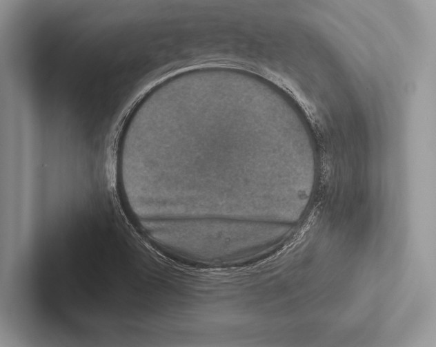 X0000102521504200809051432