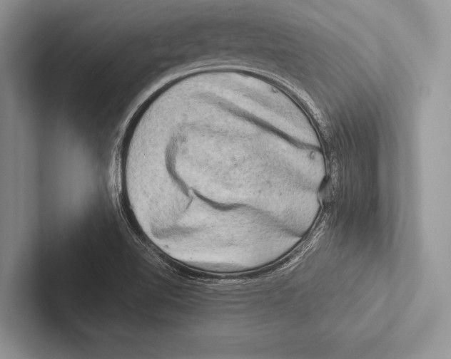 X0000102521510200809051432