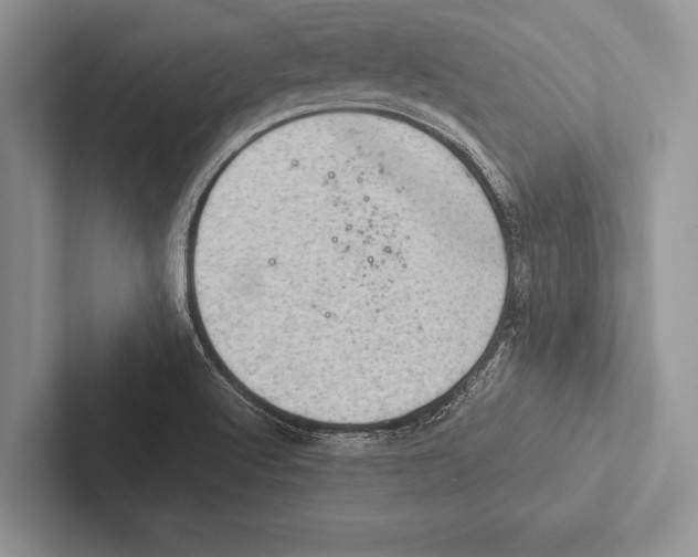 X0000102521512200809051432