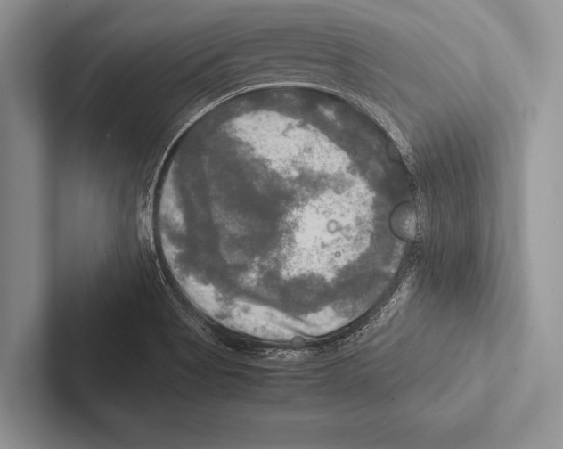 X0000102521513200809051432