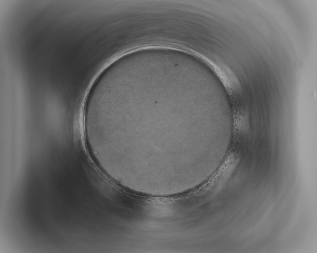 X0000102521514200809051432