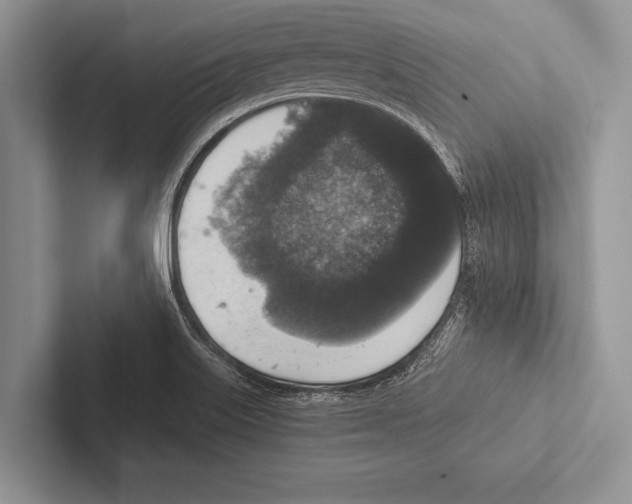 X0000102521515200809051432