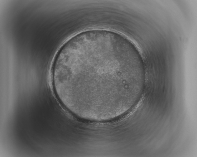 X0000102521517200809051432