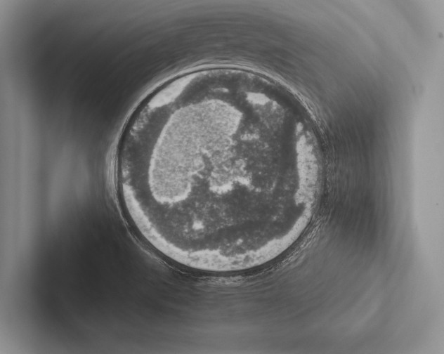 X0000102521519200809051432