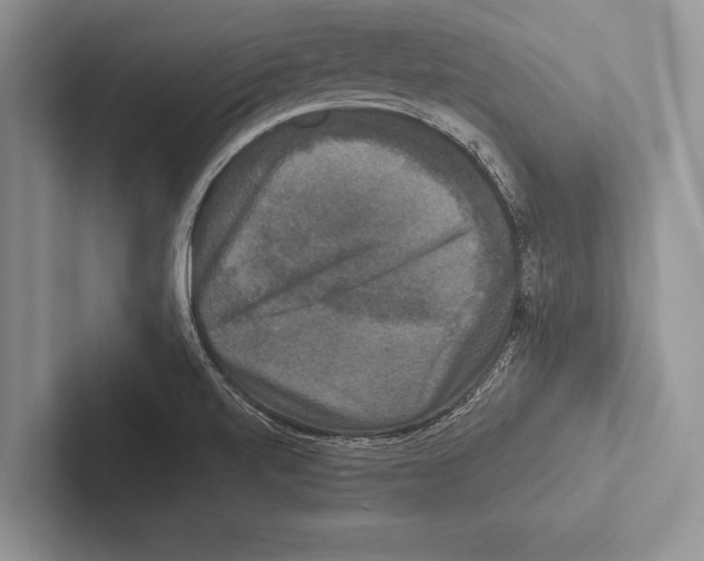 X0000102521520200809051432