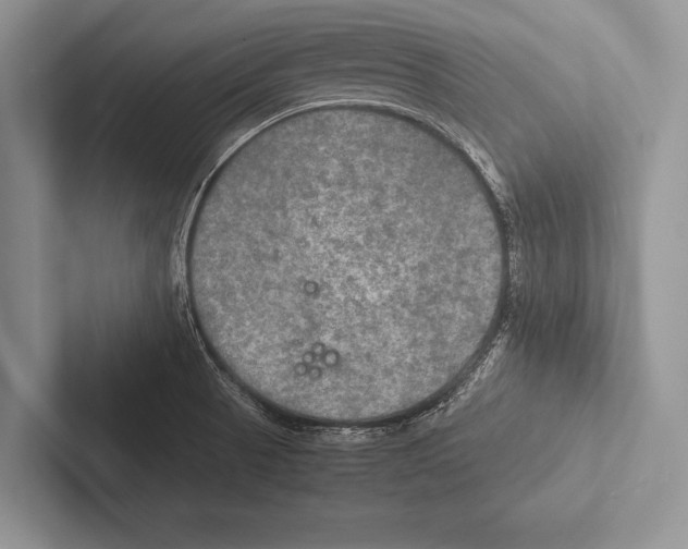 X0000102521521200809051432