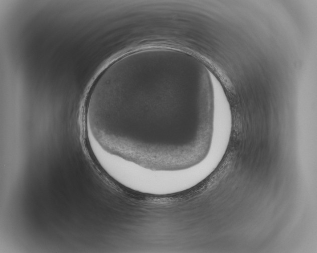 X0000102521522200809051432