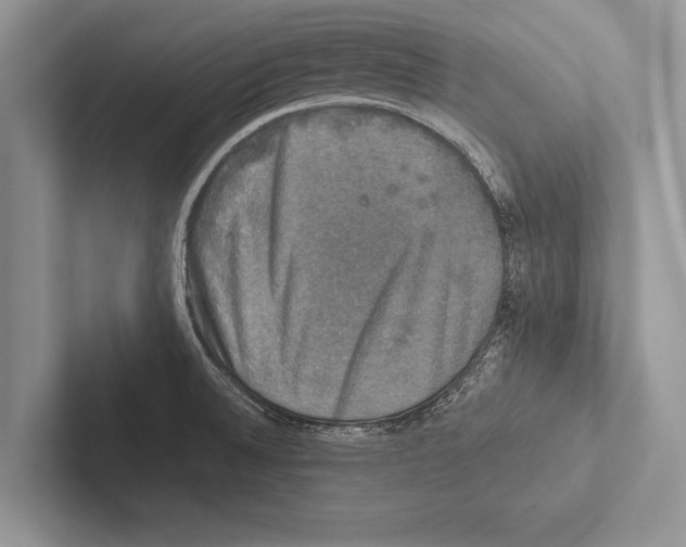 X0000102521524200809051432