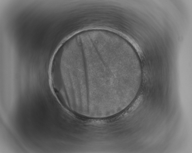 X0000102521525200809051432