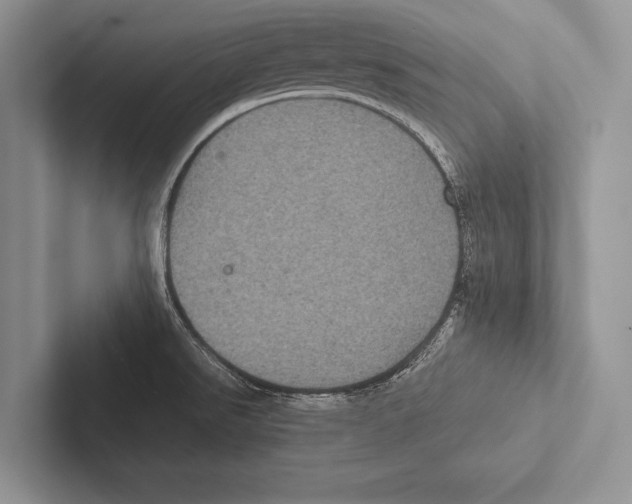 X0000102521526200809051432