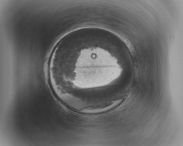 X0000102521527200809051432