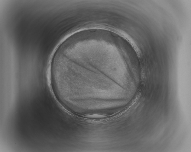 X0000102521528200809051432