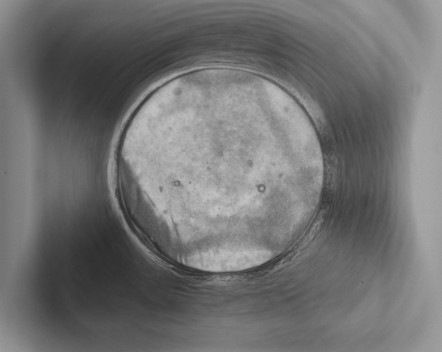 X0000102521531200809051432