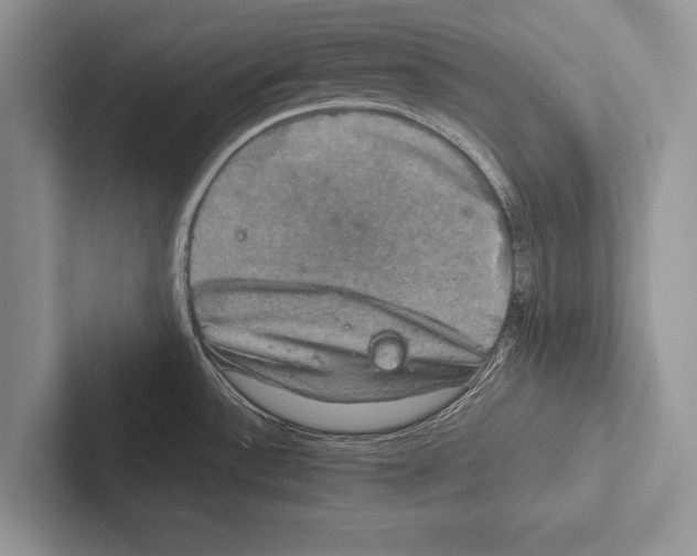 X0000102521532200809051432