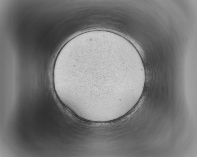 X0000102521534200809051432