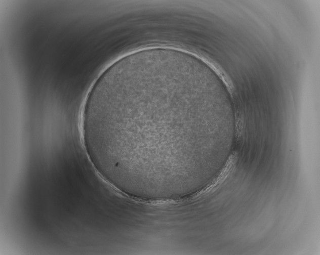 X0000102521535200809051432