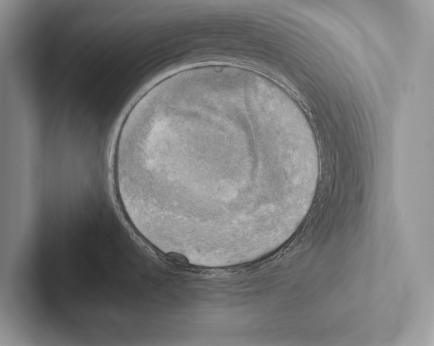 X0000102521536200809051432