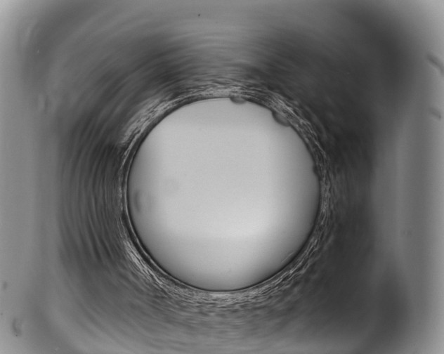 X0000102530002200808081104