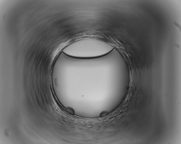 X0000102530003200808081104