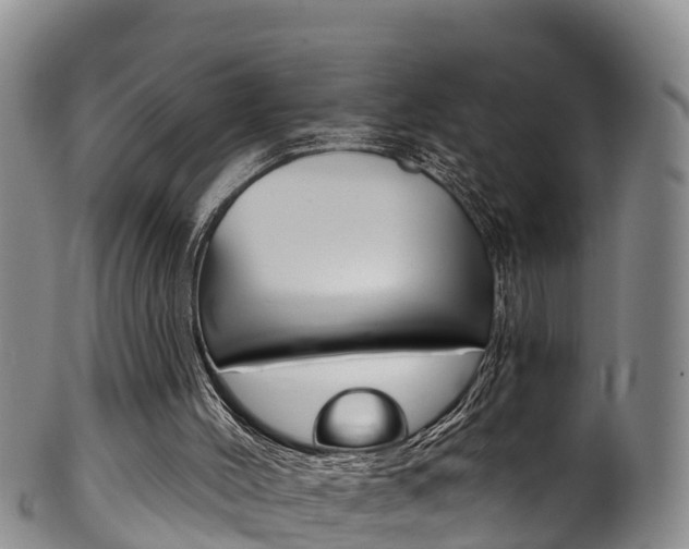 X0000102530004200808081104