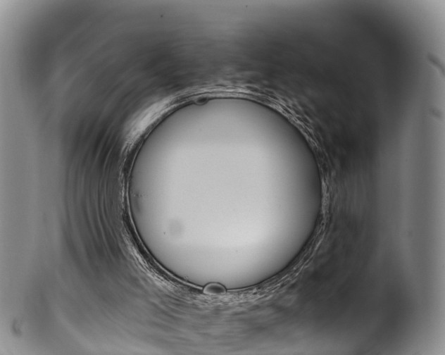 X0000102530005200808081103
