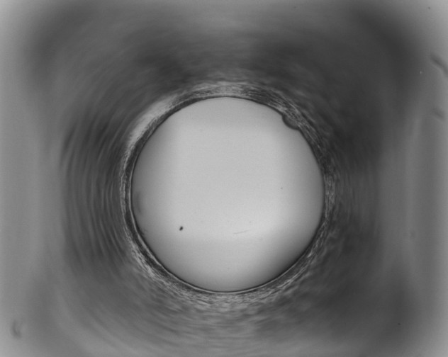 X0000102530006200808081103