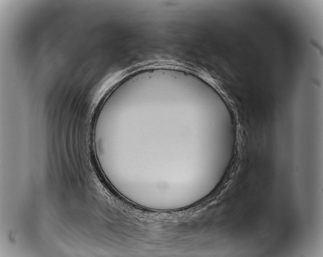 X0000102530007200808081103