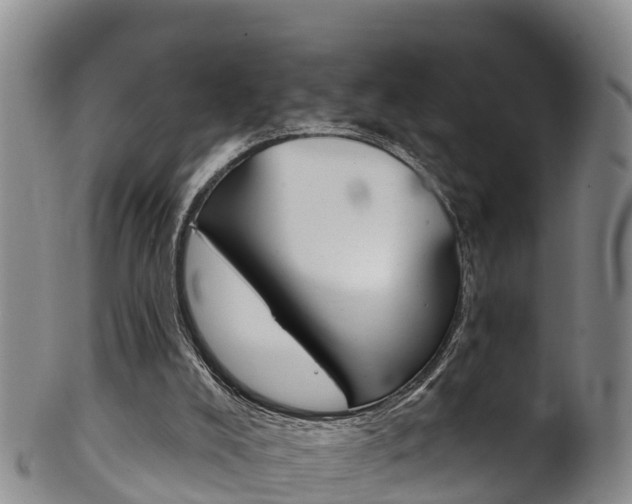 X0000102530008200808081103