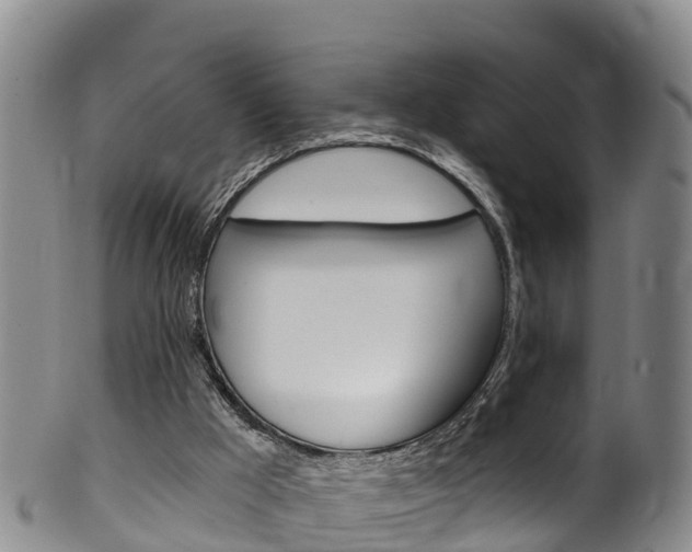 X0000102530009200808081103