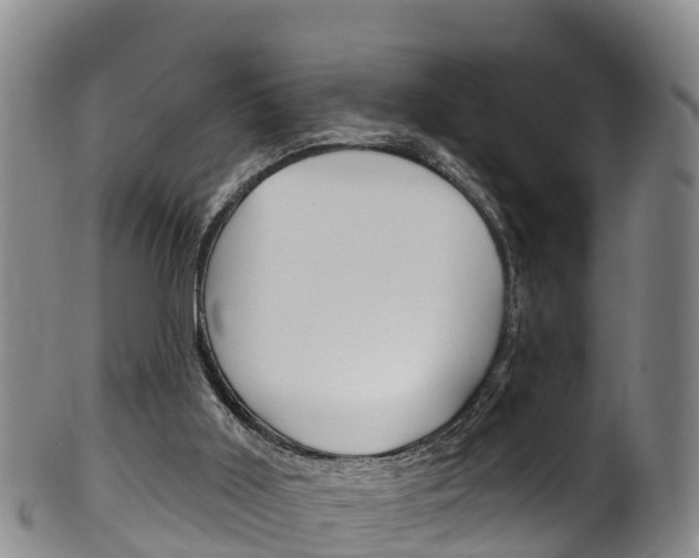 X0000102530011200808081103