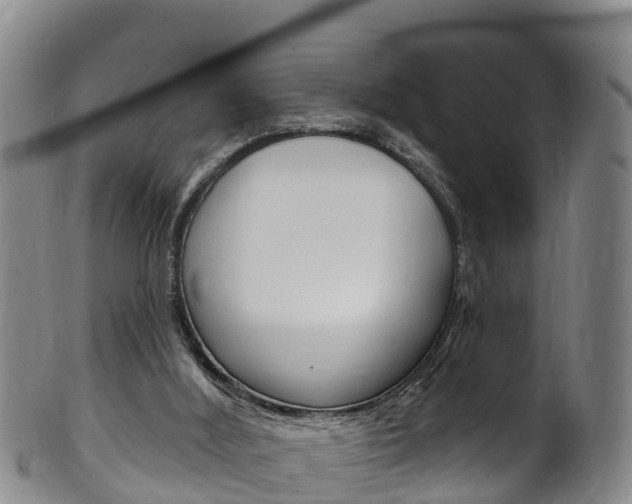 X0000102530012200808081103