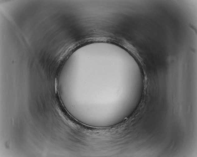 X0000102530013200808081103