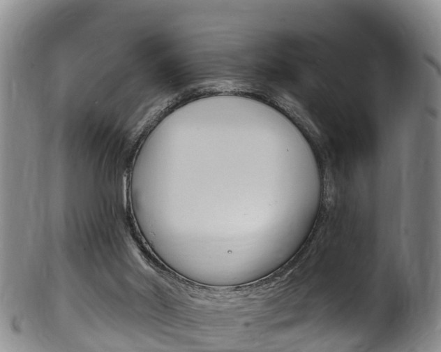 X0000102530014200808081103