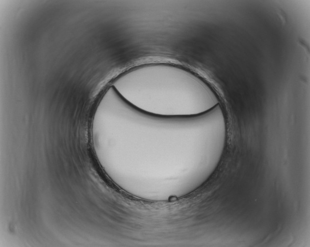 X0000102530015200808081103