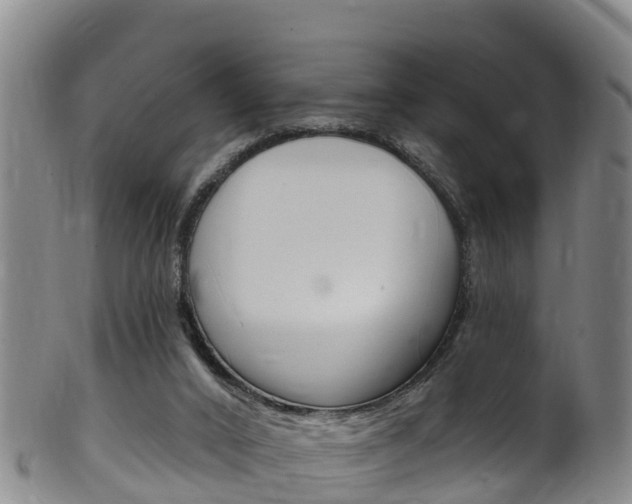 X0000102530016200808081103
