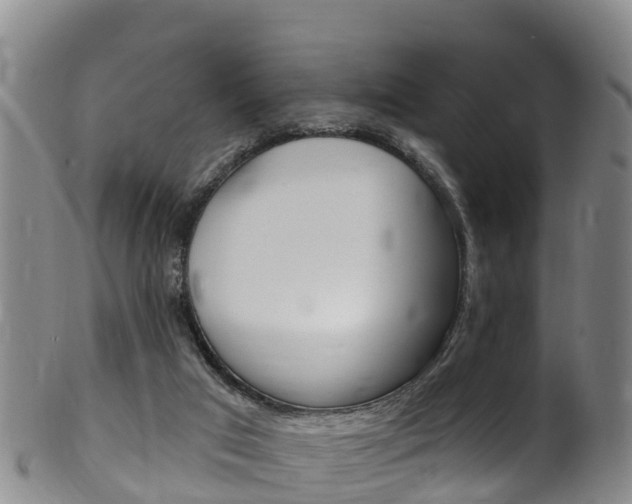 X0000102530017200808081103