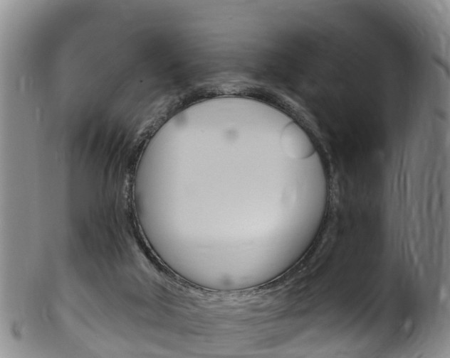 X0000102530018200808081103