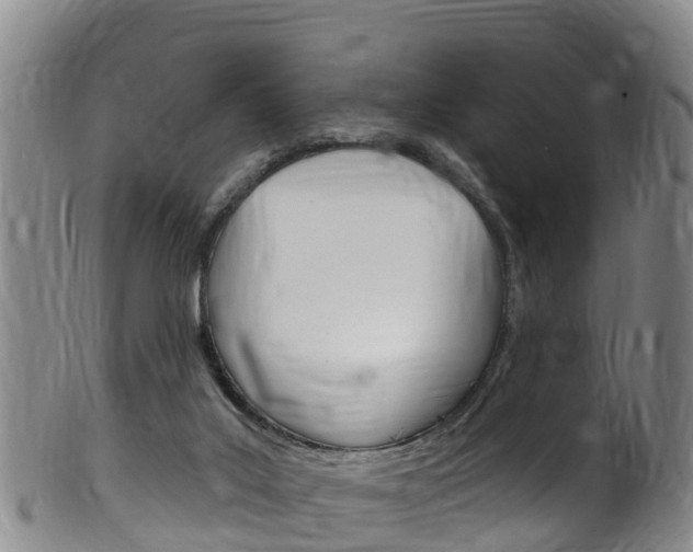 X0000102530019200808081103