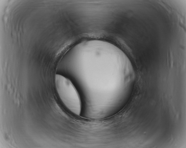 X0000102530020200808081103