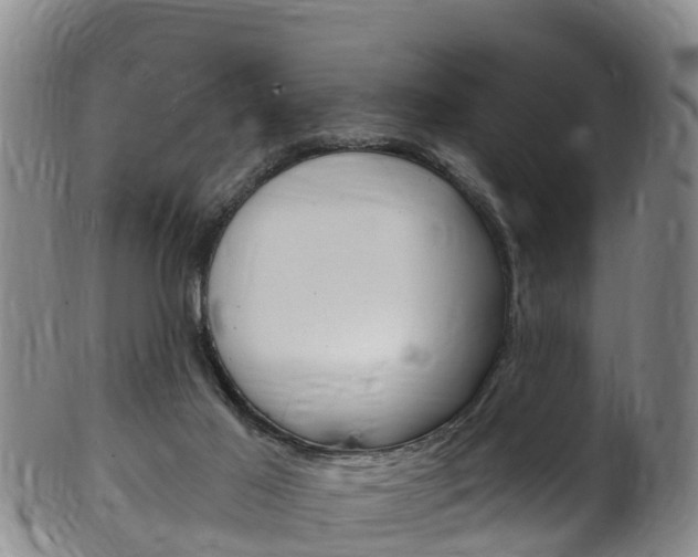 X0000102530021200808081103