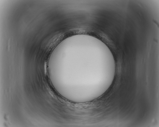 X0000102530022200808081103