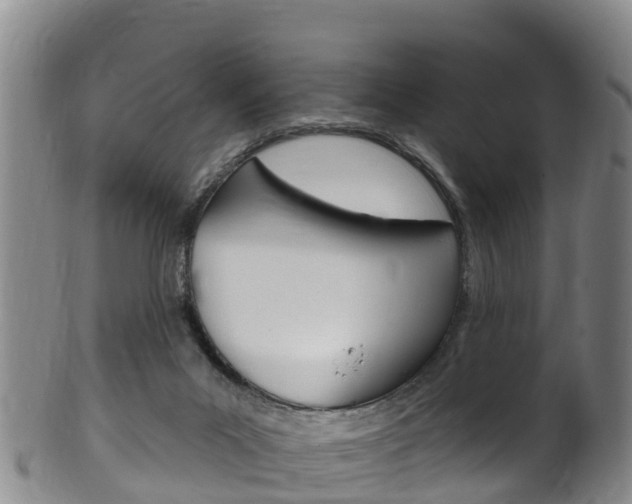 X0000102530023200808081103